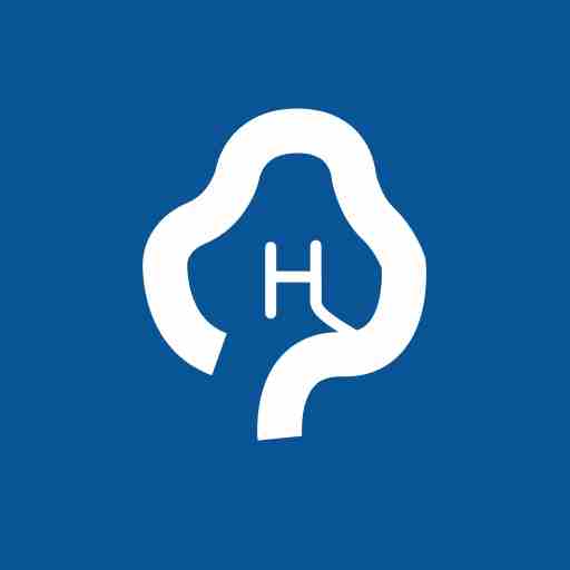 Hassisto Tree logo