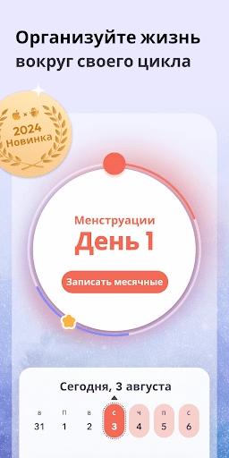 Предварительный просмотр приложения