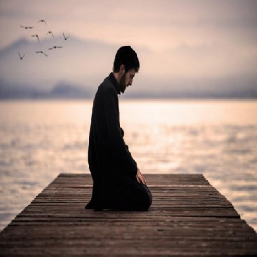 muslim pro - learning prayer logo