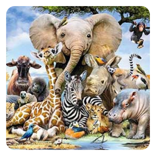 Guess the animal- Quiz Game