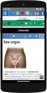 Sex organ Anatomy