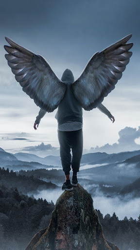 Android application Angel Wallpapers screenshort