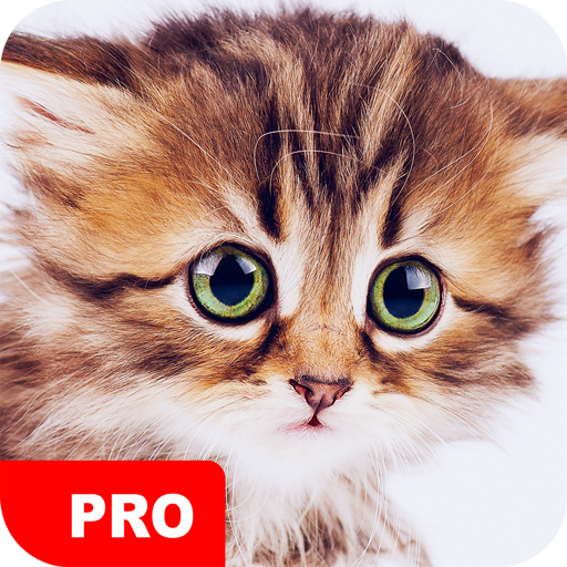 Cute Animal Wallpapers PRO logo