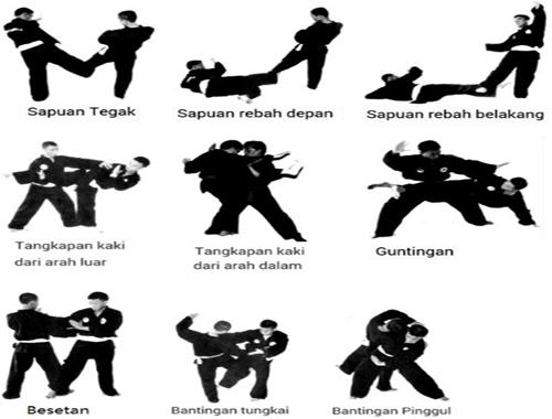 Learn Pencak Silat Techniques By Tikanuraini Android Apps Appagg