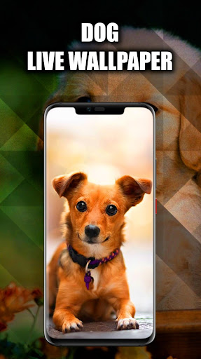 Android application Dog Wallpaper Live HD/3D/4K screenshort