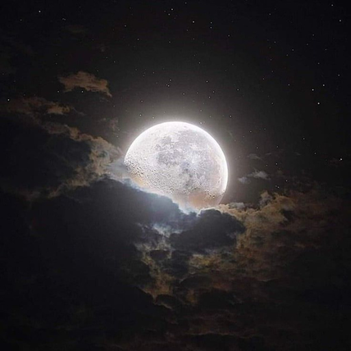 moon wallpaper logo