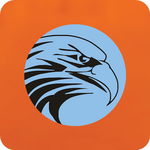 Falcon Pro logo