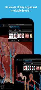 Screenshot dell'Atlante di anatomia umana 2024