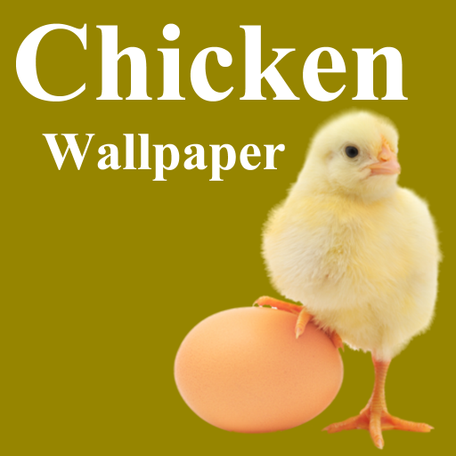 Chicken Wallpaper 2.0 Icon