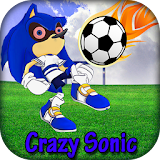 Super Sonic Soccer Adventure icon