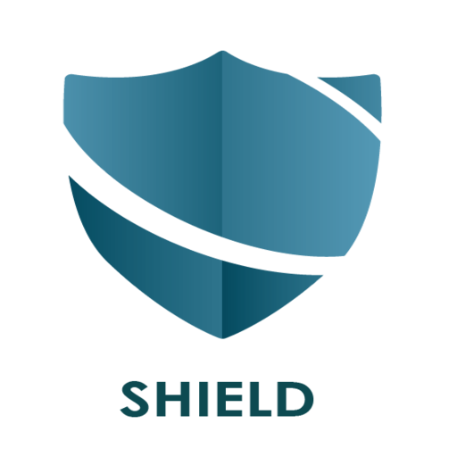 Shield  Icon