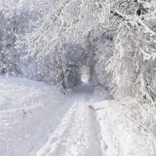 Snowfall Sounds : Winter Music logo
