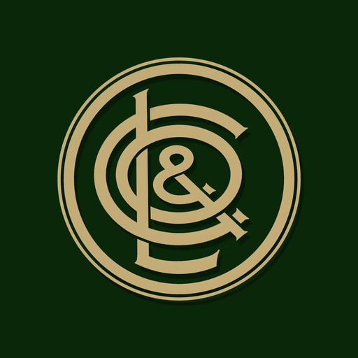 Lyness & Co. logo