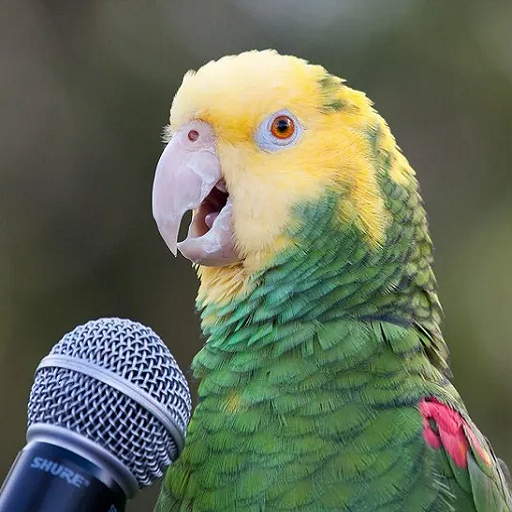Repetir Voz - para Talkabout logo