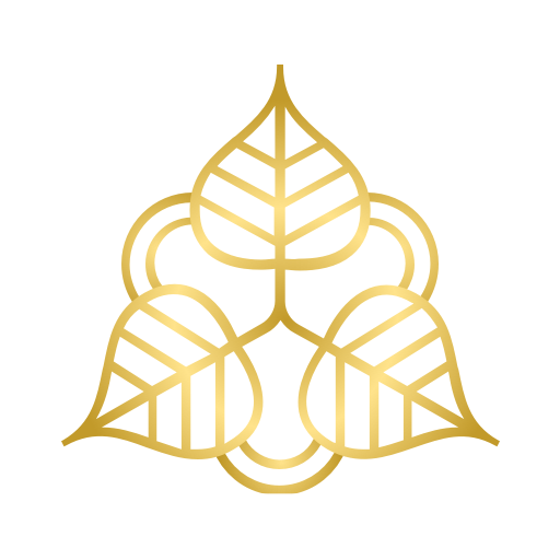 Transport Tam Chuc logo