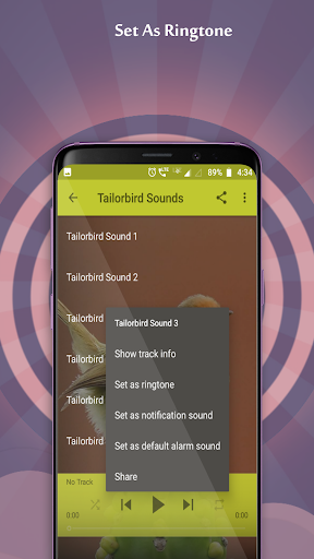 Tailorbird Sounds Screen 2
