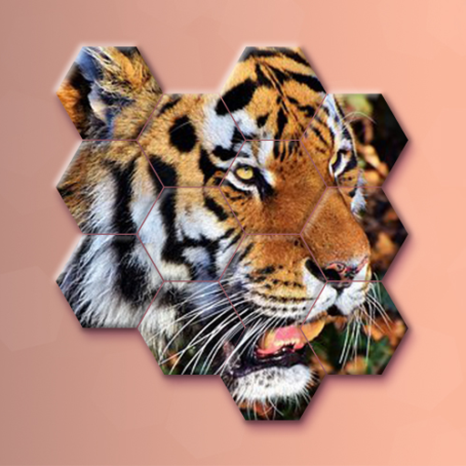 Animals Jigsaw! - Hexa puzzle logo