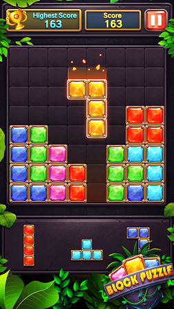 Game screenshot Block Puzzle hack