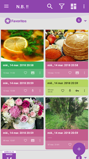 Vista previa de la aplicación