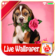 Cute Puppy Rose Live Wallpaper Puppy Dog LWP تنزيل على نظام Windows