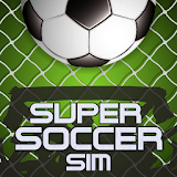 Super Soccer Sim icon
