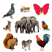 Top 47 Music & Audio Apps Like Animal, Bird, Insect Sounds and Ringtones - Best Alternatives