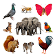 Animal, Bird, Insect Sounds and Ringtones Download on Windows