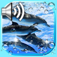 Dolphin Voice
