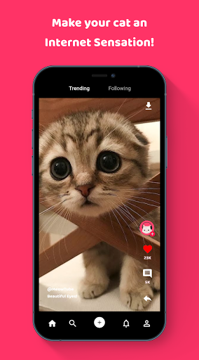 MeowTube - Watch and Share Cat Screen 3