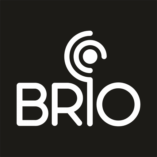 BRIO Transport logo