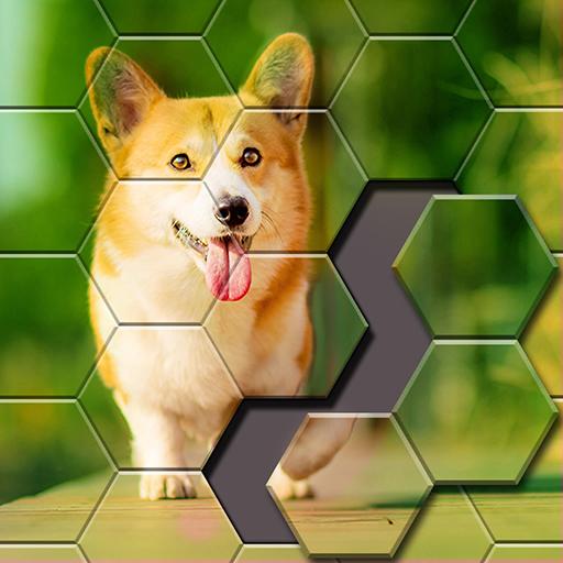 Jigsaw Puzzle -Hexa Block Game Logo