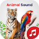 動物の音: 野生の壁紙 - Androidアプリ