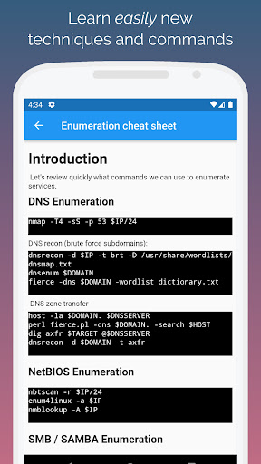 Learn Pentesting like a Pro! Screen 2