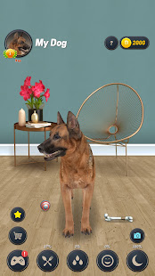 My Dog (Dog Simulator) 2.3.4 APK + Mod (Unlimited money) إلى عن على ذكري المظهر