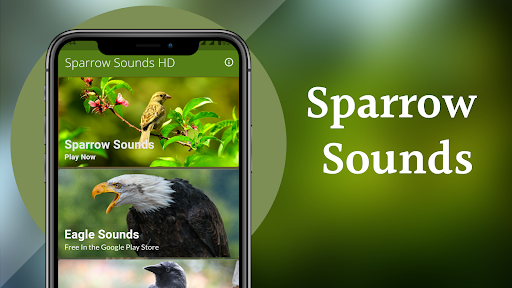 Sparrow Sounds - Sparrow Calls Screen 2