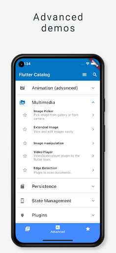 Flutter Catalog 2