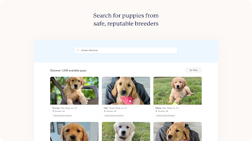 Good Dog: Find Your New Puppy screenshot