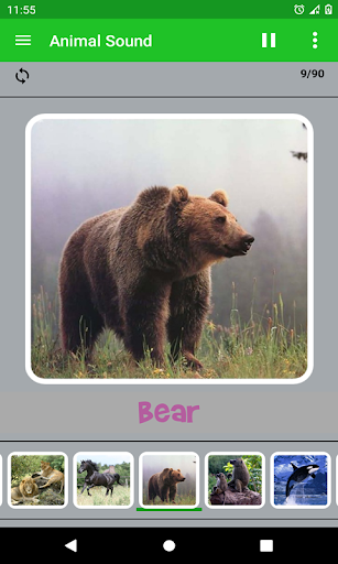 Animal Sound Screen 3