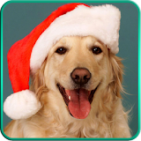 Christmas Dogs Live Wallpaper icon