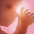 Schwangerschaft + | Tracker-App, jede Woche in 3D5.15.1