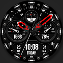 WFP 225 Hybrid watch face