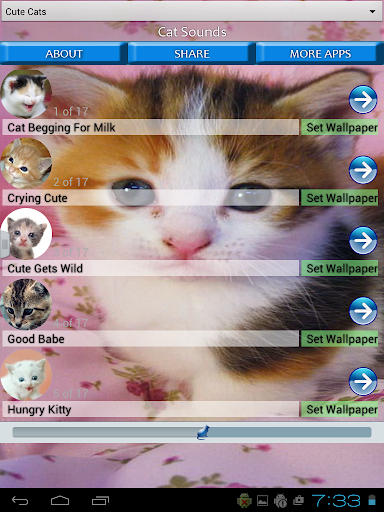 Cat Sounds and Wallpapers