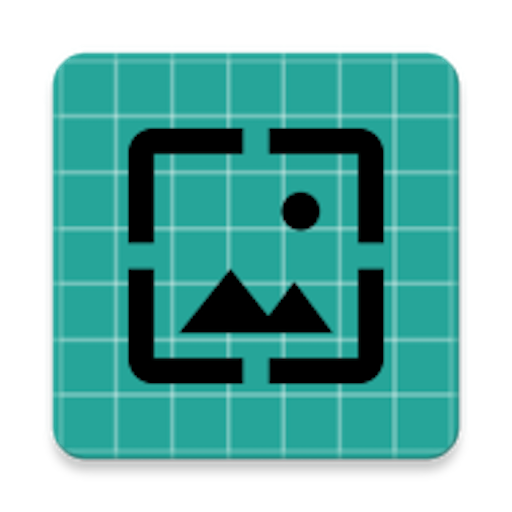 Camera Preview Download on Windows