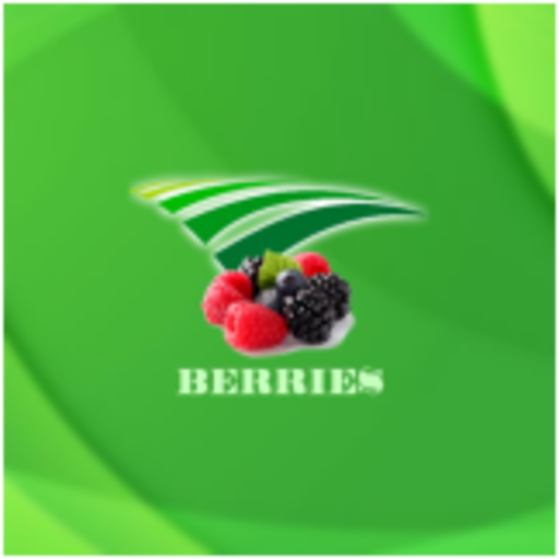 Berries Agrizar logo