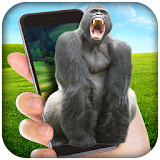 Gorilla in Phone Prank icon