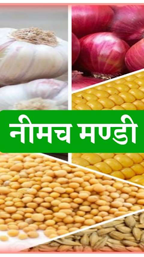 Android application Neemuch Mandibhav screenshort