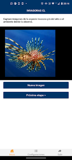 Invasoras CL Screen 2