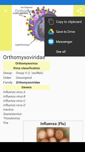 Viruses Screen 3