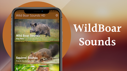 WildBoar Sounds - Hunting call Screen 2