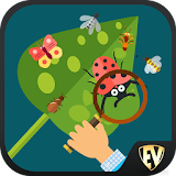 Entomology Dictionary Offline: Insect Encyclopedia icon